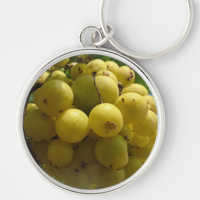 Llavero Círculo de la cadena de claves de frutas (Frente)