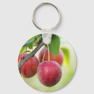 Llavero Ciruela de cerezo en rama