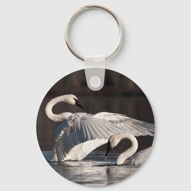 Llavero Cisnes amorosos (Anverso)
