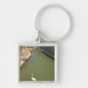 Llavero Cisnes en canal, Isla Burano, Venecia, Italia
