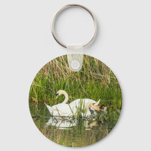 Llavero Cisnes y cignets en el lago