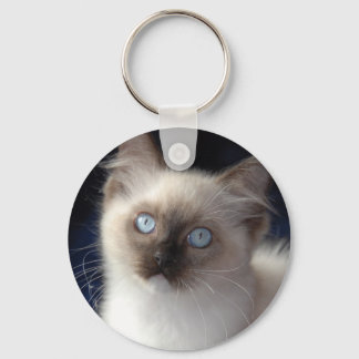 Llavero Clancy Key Chain