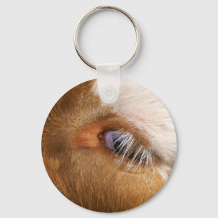Llavero Clásico de los ojos de las vacas altolianas