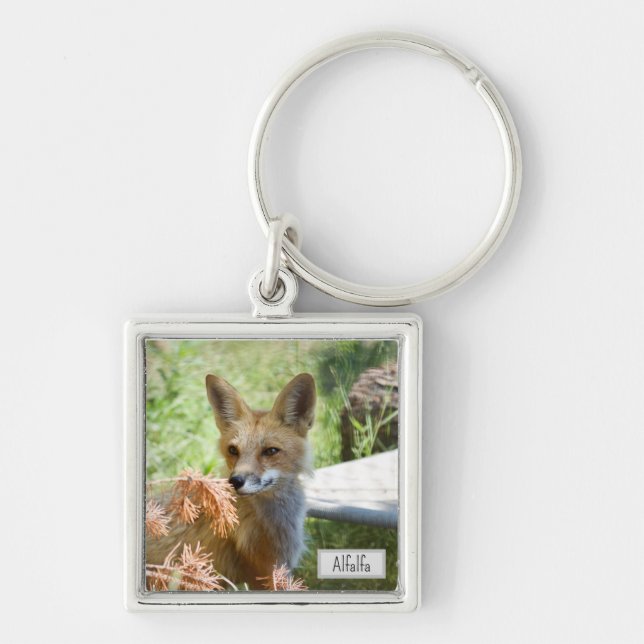 Llavero Cláusula Alfalfa (Frente)