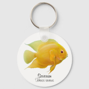 Llavero Cláusula Cichlid Gold Severum