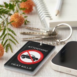 Llavero Cláusula de acrílico para consejos de seguridad pa