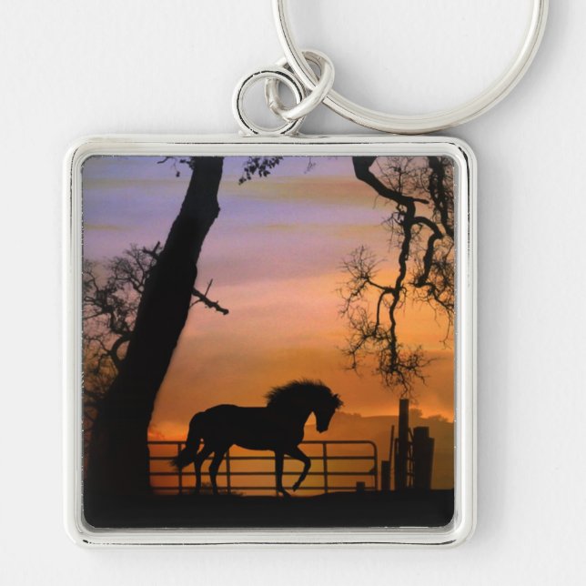 Llavero Cláusula de arte del caballo (Frente)