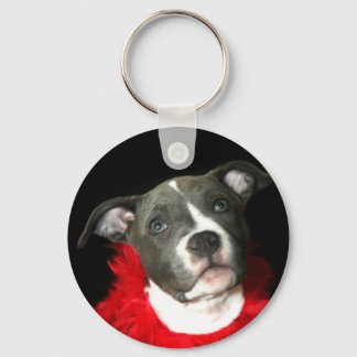 Llavero Cláusula de cachorro azul Pitbull