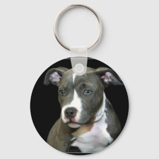 Llavero Cláusula de cachorro azul Pitbull