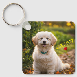 Llavero Cláusula de cachorros