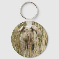 Cláusula de cerdo cuasi