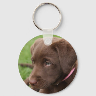 Llavero Cláusula de cremallera de Chocolate Lab