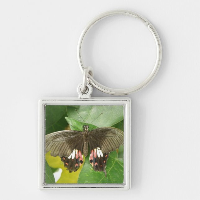 Llavero Cláusula de mariposa de cola de cerda (Frente)