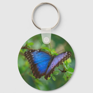 Llavero Cláusula de mariposa morfa azul