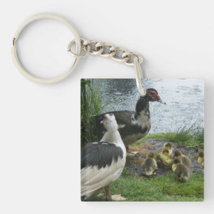 Llavero Cláusula De Patos Y Pescados Muscovicos
