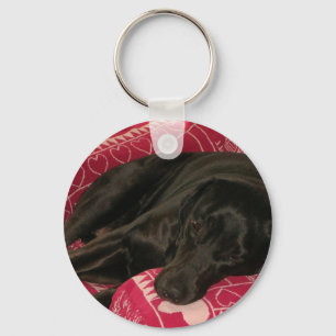 Llavero Cláusula de perro somnolienta