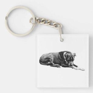 Llavero Cláusula de perros Pocket Lounge