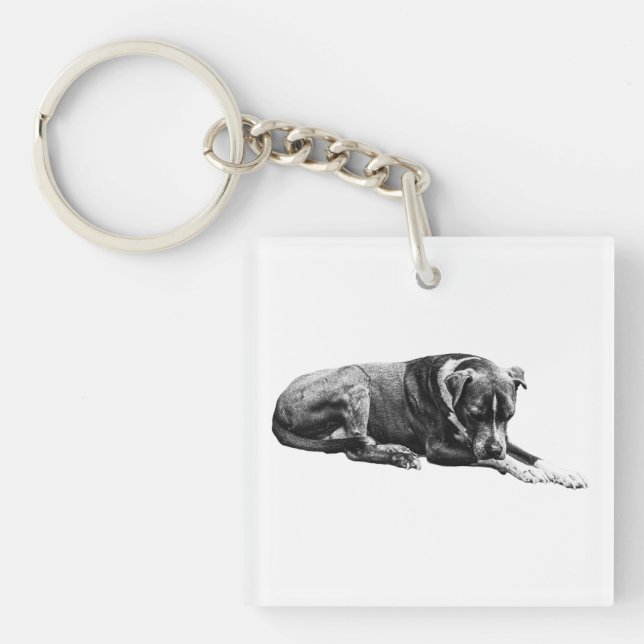 Llavero Cláusula de perros Pocket Lounge (Frente)