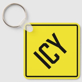 Llavero Cláusula de plaza Metalizado Icy