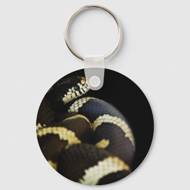 Llavero Cláusula de serpientes del rey de California (Anverso)