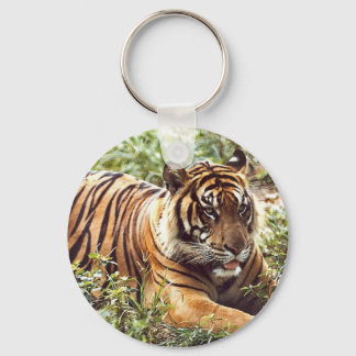 Llavero Cláusula de tigre de Sumatra