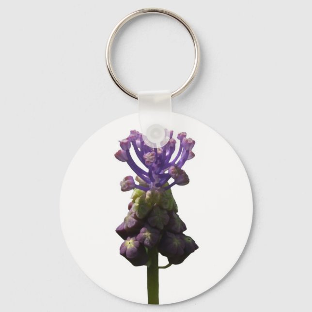 Llavero Cláusula Hyacinth de uva (Anverso)