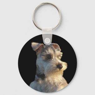 Llavero Cláusula Schnauzer en miniatura