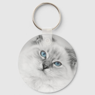 Llavero clave de ragdoll