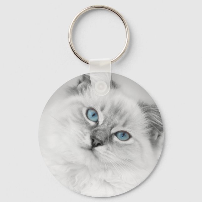 Llavero clave de ragdoll (Anverso)