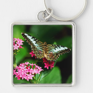 Llavero Clipper en Pentas 1 Keychain