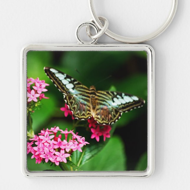 Llavero Clipper en Pentas 1 Keychain (Frente)