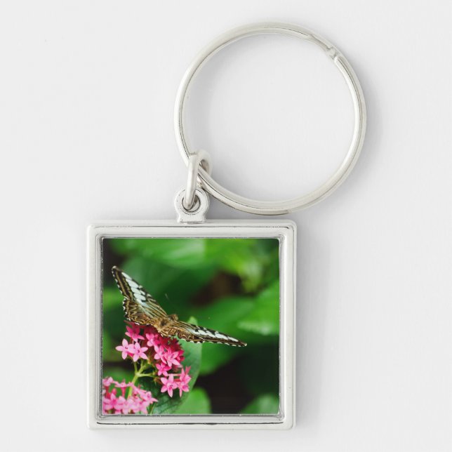Llavero Clipper en Pentas 2 Keychain (Frente)