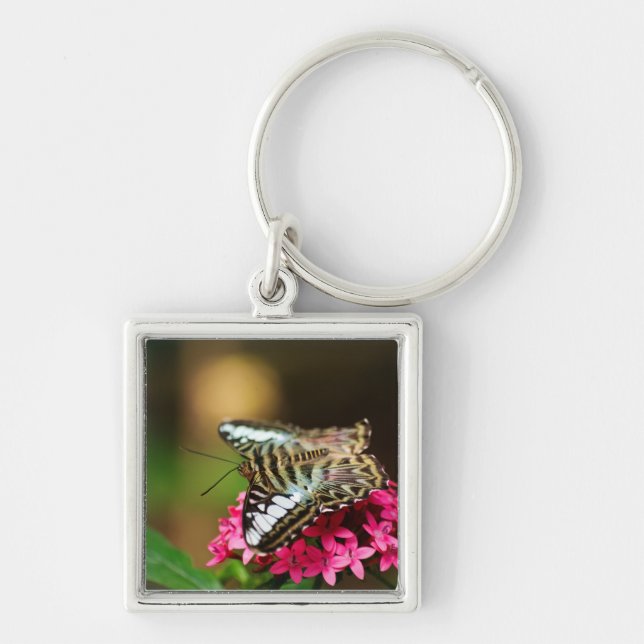 Llavero Clipper en Pentas 3 Keychain (Frente)