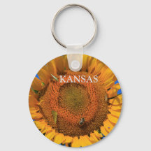 Closeup Sunflower de Kansas