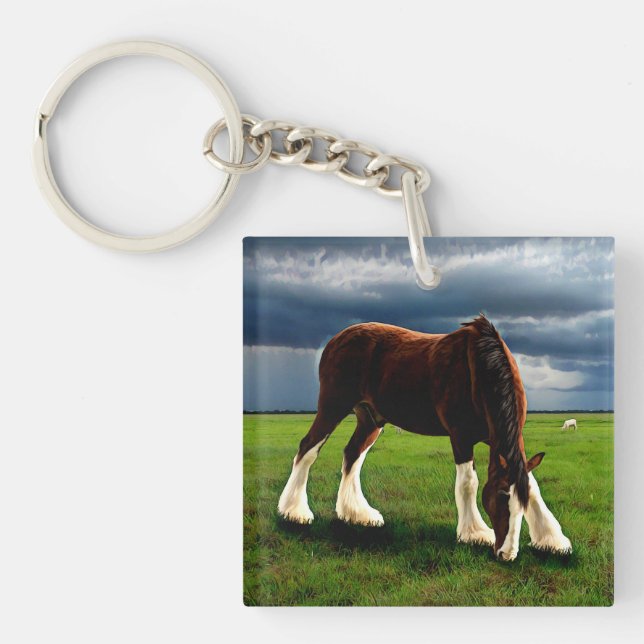 Llavero Clydesdale Storm (Frente)