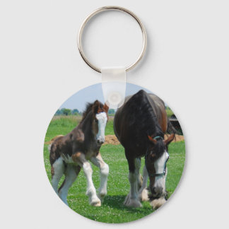 Llavero clydesdale y llanamente