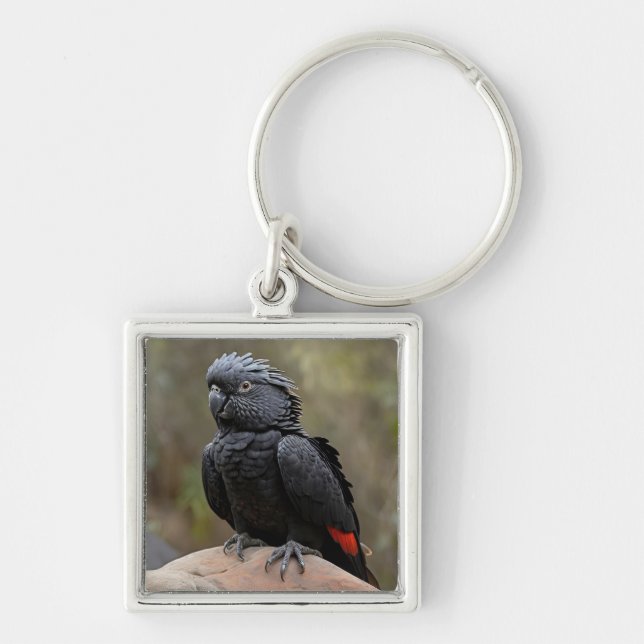 Llavero Cockatoo negro (Frente)