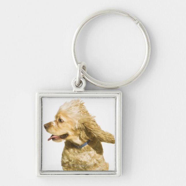 Llavero Cocker spaniel (Frente)