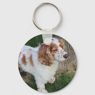 Llavero cocker spaniel inglés naranja y blanco completo