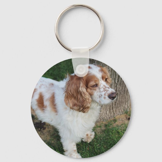 Llavero cocker spaniel inglés naranja y blanco completo (Anverso)