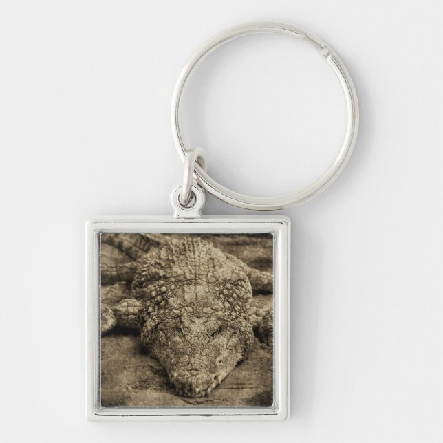 Llavero Cocodrilo (Frente)
