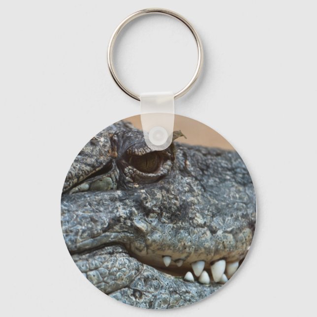 Llavero Cocodrilo (Anverso)