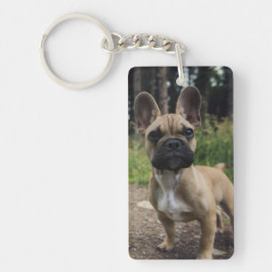 Llavero Cojín decorativo Bulldog francés