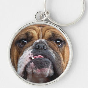 Llavero Cojín decorativo de Bulldog inglés