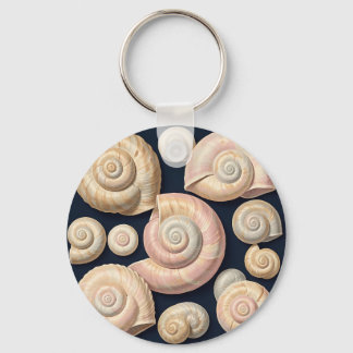 Llavero Colección de conchas de caracol beige rosa náutico
