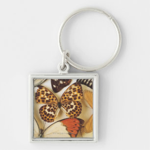 Llavero Colección de la mariposa