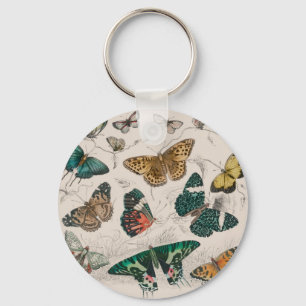 Llavero colección de mariposa manteca de arte acuarela ant