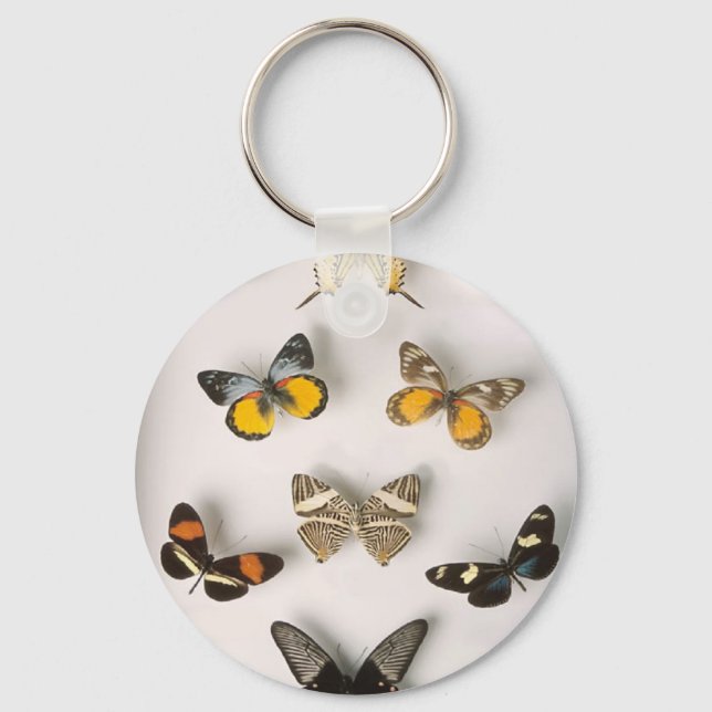 Llavero Colección de mariposas, cadena de claves (Anverso)