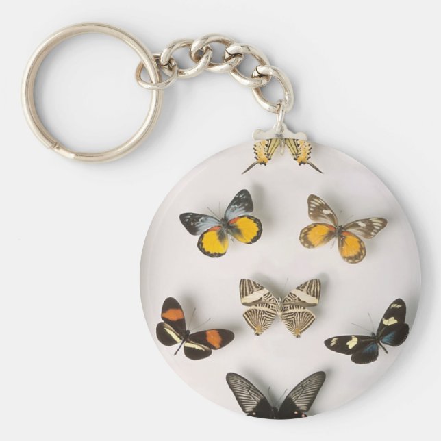 Llavero Colección de mariposas, cadena de claves (Frente)