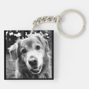 Llavero Colección del mascota - las muchas caras de perro